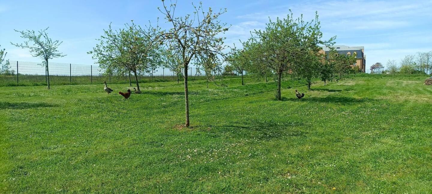 Le Domaine Du Chateau Varennes-les-Narcy Buitenkant foto
